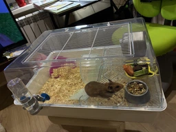 Клітка Ferplast Cage MINI DUNA HAMSTER для хом'яків 55 x 39 xh 27 cm фото від покупців 2