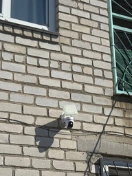 IP-камера TP-LINK Tapo C610 KIT