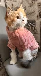 Флисовая кофта для котов (кошек) Фараон M Красный фото от покупателей 1