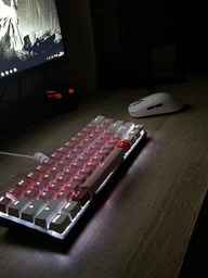 Ігрова бездротова мишка VGN VXE R1 SE+ White. фото від покупців 1