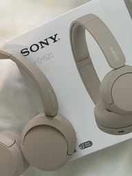 Наушники Sony WH-CH520 White (WHCH520W.CE7) фото от покупателей 5