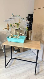 Стіл розкладний Моріс 900 Ferrum-decor 750x900x500 Чорний метал ДСП Дуб Сонома 16 мм (MORI904)