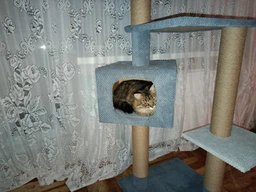 Будиночок дряпка для кота дряпка для кішки Мур-Мяу Аліса 60х60х138 см в джутовій мотузці Темно коричнево-бежевий фото від покупців 2