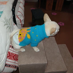 Ступеньки-пандус для собак середніх порід 66*39*40 см фуксія фото від покупців 2