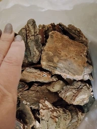 Кора соснова середня 50 л 4-6 см Пастернак Біо