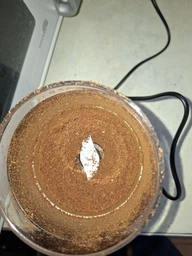 Кавомолка DELONGHI KG200 фото від покупців 7
