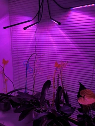 Светодиодная Фитолампа GrowLight для Выращивания Комнатных на 4 ветки Растение Full Spectrum (OJ146IU)