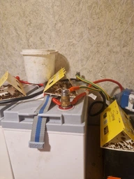 Ловушка липучка для тараканов насекомых клопов блох муравьев клещей прусаков вредителей клейкая липкая безопасная клей лента домик приманка ловушки клеевые от паразитов эффективное средство с приманкой для кухни дома квартиры без запаха и яда 20 шт