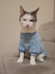 Костюм для котов (кошек) флисовый Нордик S Розовый