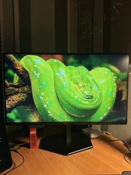 Монітор 24.5" AOC 25G42E (4038986642576) фото від покупців 1