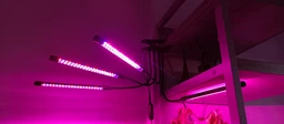 Фитолампа USB для роста растений на 4 лампы гибкая светодиодная LED фито лампа полного спектра профессиональная 4 ветки на прищепке светильник для комнатных цветов орхидей рассады лед фитолампа на четыре фитосветильника для подсветки и регулировки яркости фото от покупателей 3
