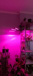 Фитолампа USB для роста растений на 4 лампы гибкая светодиодная LED фито лампа полного спектра профессиональная 4 ветки на прищепке светильник для комнатных цветов орхидей рассады лед фитолампа на четыре фитосветильника для подсветки и регулировки яркости фото от покупателей 2