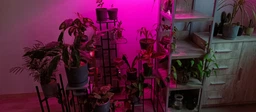 Фитолампа USB для роста растений на 4 лампы гибкая светодиодная LED фито лампа полного спектра профессиональная 4 ветки на прищепке светильник для комнатных цветов орхидей рассады лед фитолампа на четыре фитосветильника для подсветки и регулировки яркости фото от покупателей 1