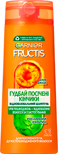 Garnier Fructis