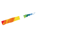 artery