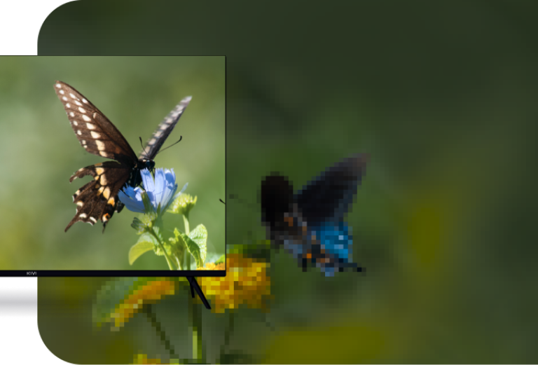 Responsive Image