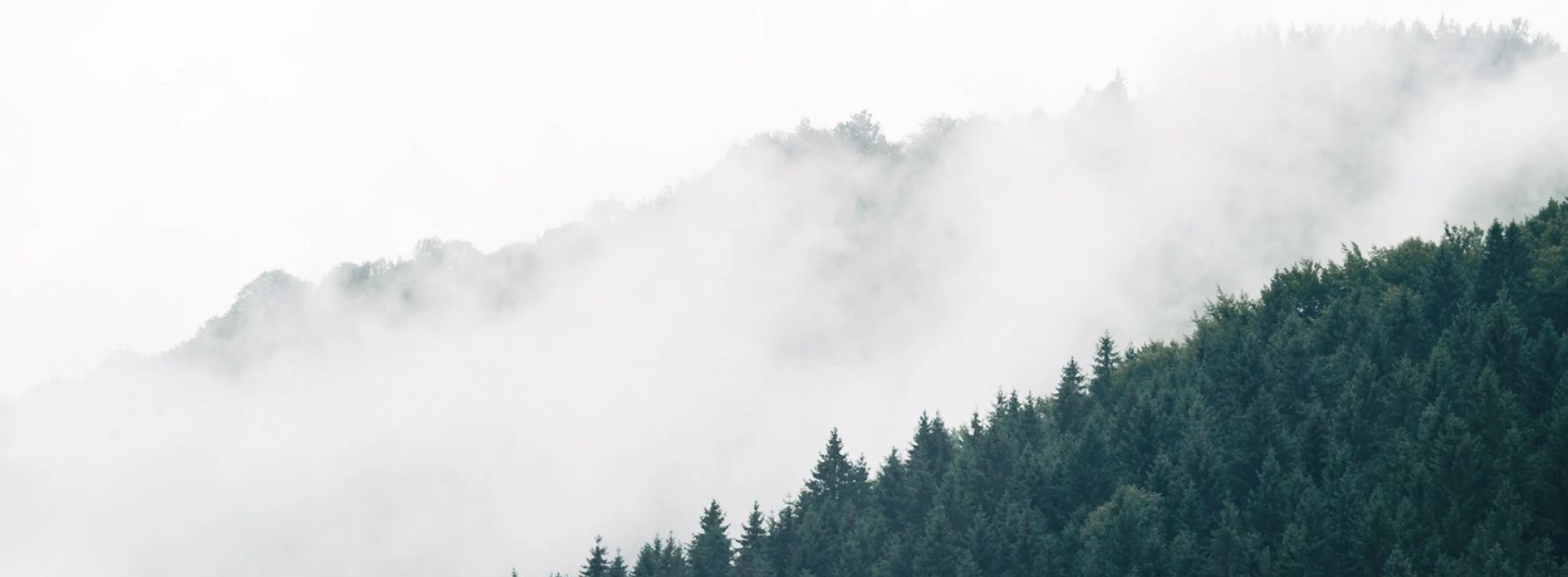 background_image