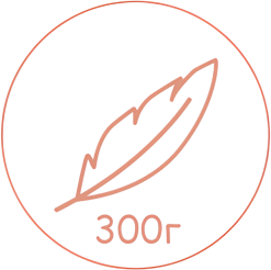 feather icon