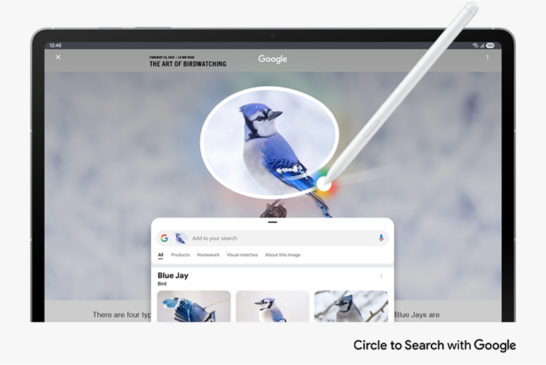 Responsive Image