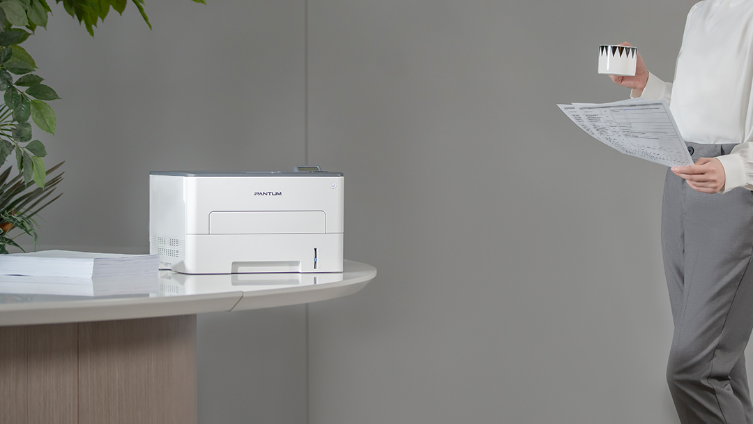Pantum P3010DW