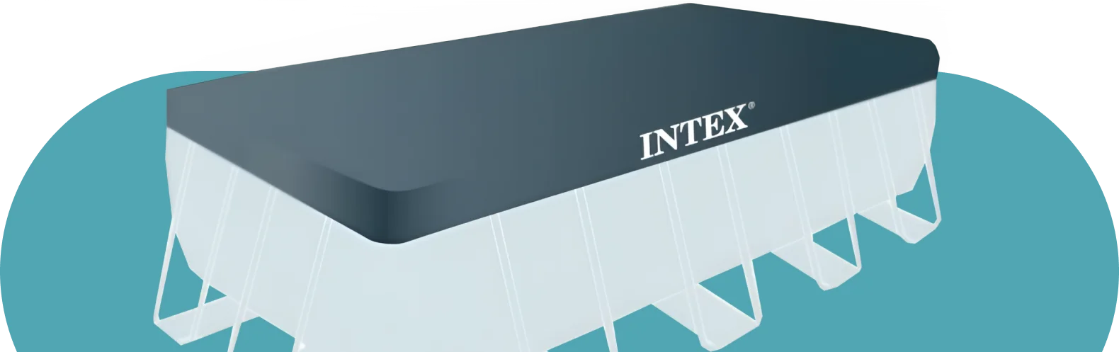 Intex
