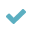 Check icon