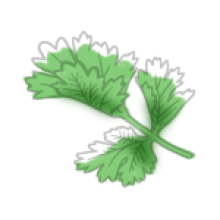 slide_image