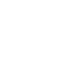 300mm²