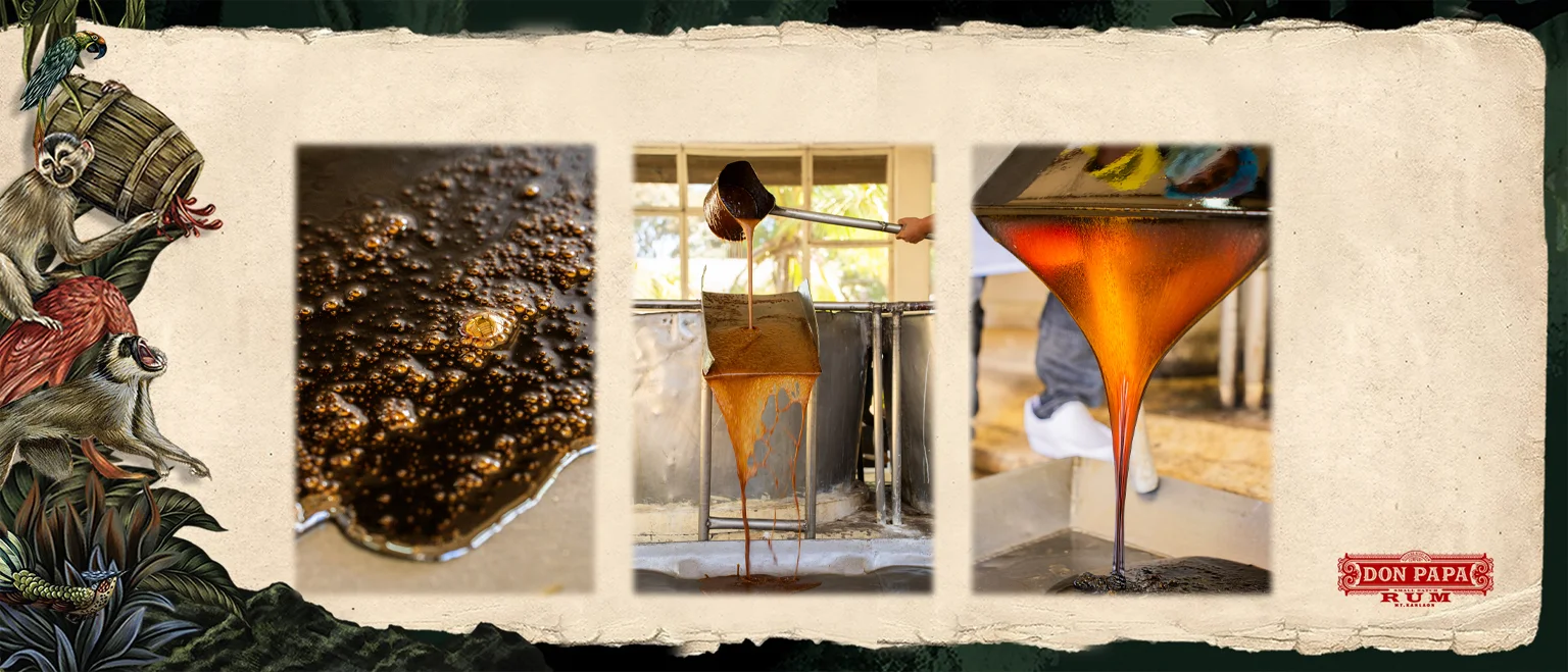 Don Papa Baroco