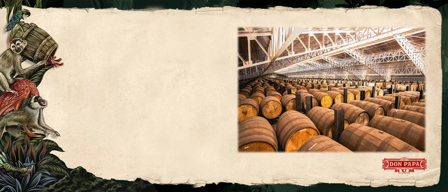 Don Papa Baroco