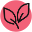 GMO free icon