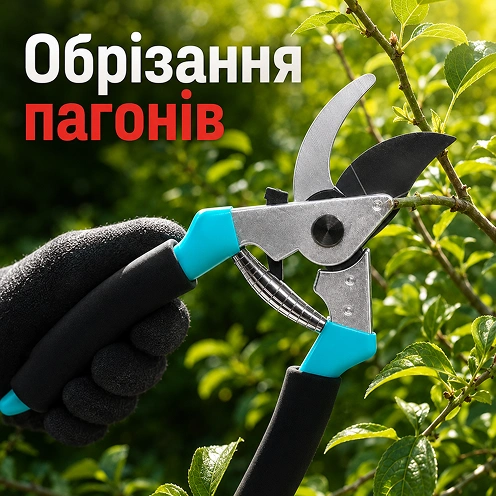 Обрезка побегов