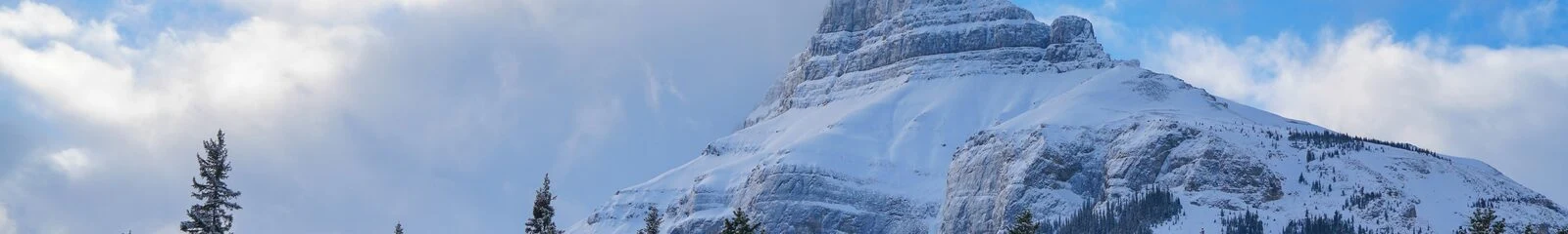 Качество изображения
