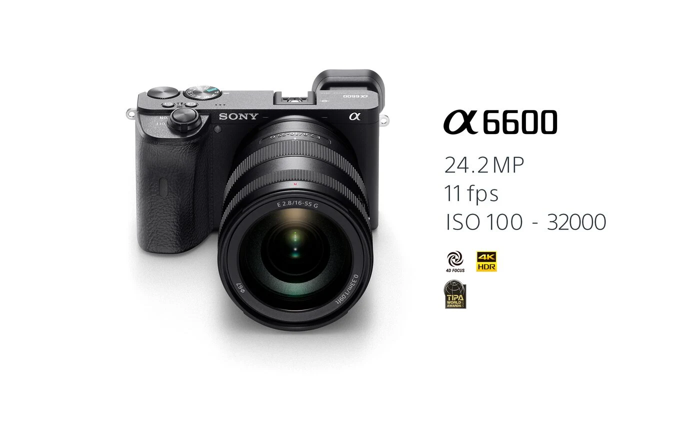 Sony α6600