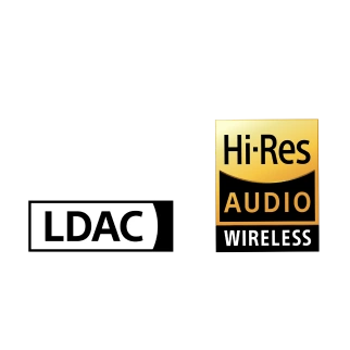 Hi‑Res Audio Wireless
