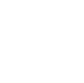 ядер A55