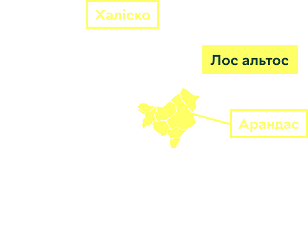 Карта региона Лос-Альтос, штат Халиско