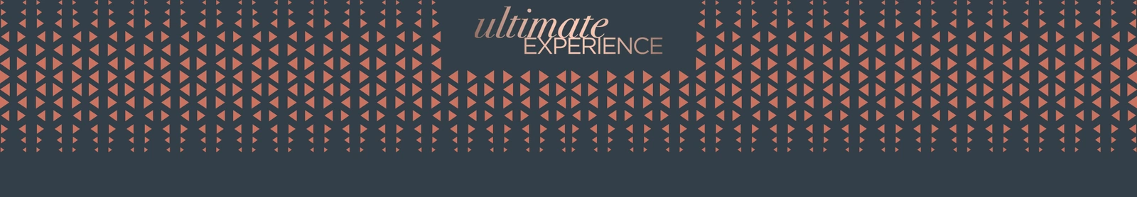 Rowenta Ultimate Experience
