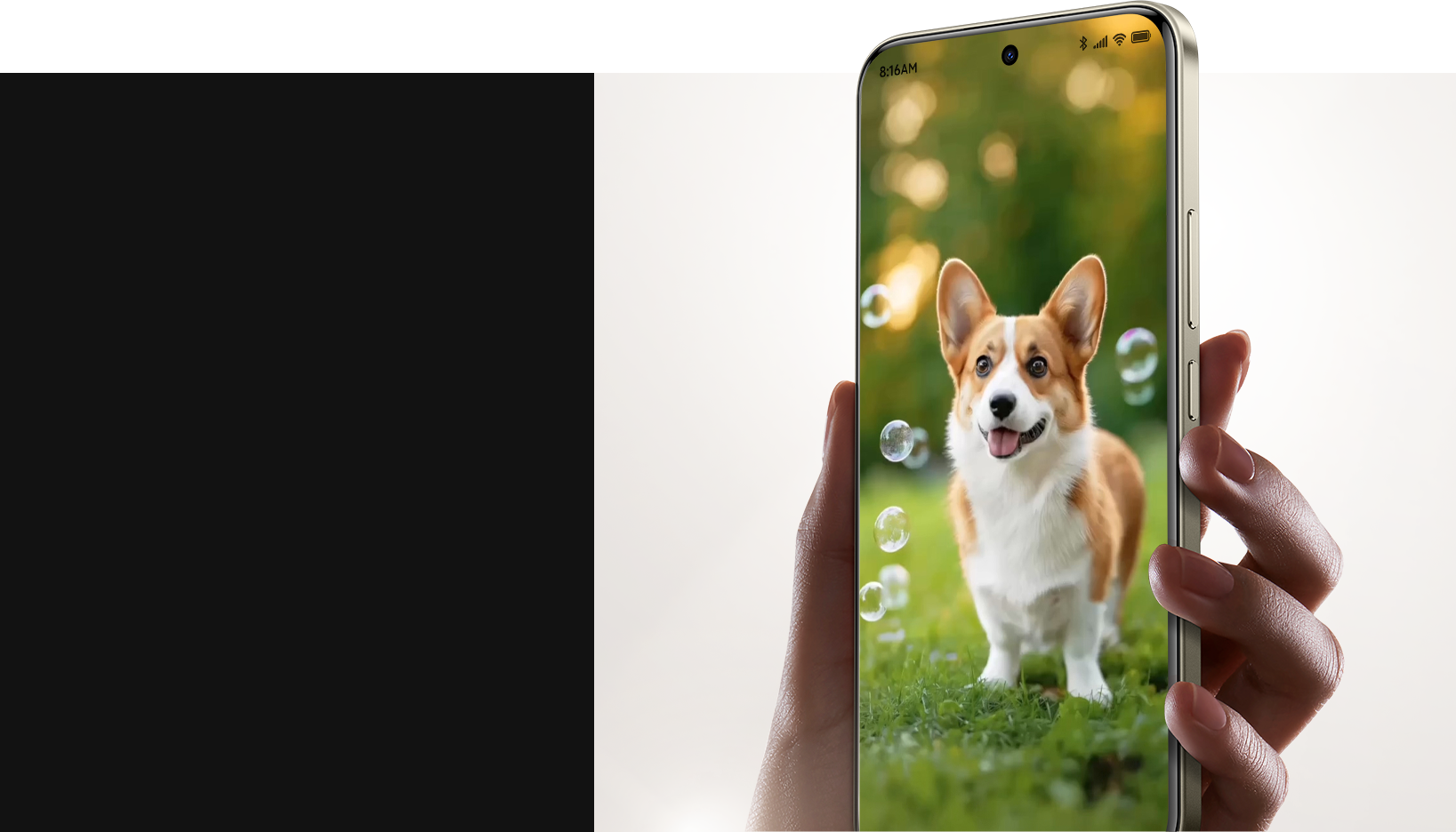 AI Dynamic Wallerpapers