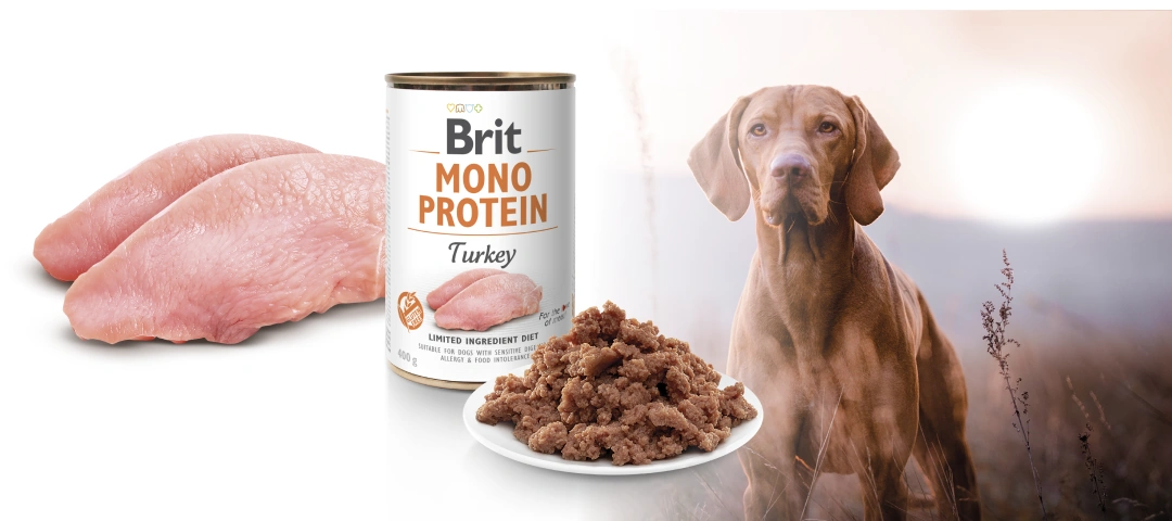 Влажный корм Brit Mono Protein Turkey с индейкой: банка 400 г, паштет на тарелке и собака
