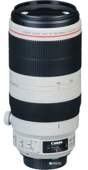 Canon EF 100-400mm f/4.5-5.6L IS II USM – фото, відгуки