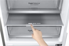 Двухкамерный холодильник LG GA-B509MCUM