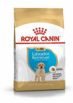 labrador royal canin junior