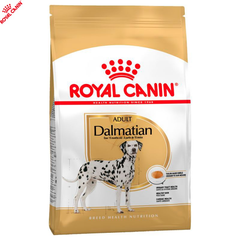 Dalmatian 2025 royal canin