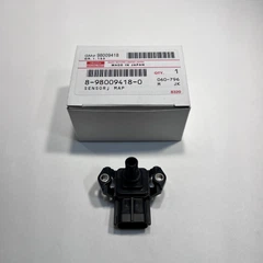 ウミガメ ナッツカメ Sサイズ/Mサイズ – 飛雪の滝グッズストア