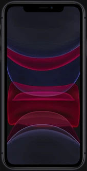 Мобильный телефон Apple iPhone 11 64GB Black (MHDA3FS/A) – фото