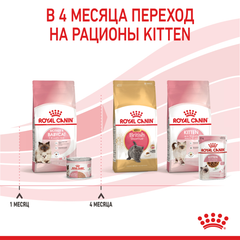 Влажный корм для беременной/кормящей кошки и котят Royal
