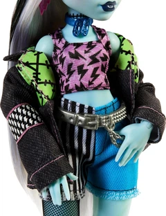 Кукла Монстер Хай Фрэнки Штейн с питомцем Monster High Frankie