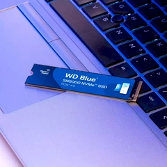 SSD накопитель 1 TB WD Blue SN5000 (WDS100T4B0E) – фото, отзывы
