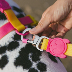 Шлейка для собак Zee.Dog Neopro Lyra Размер S (32574